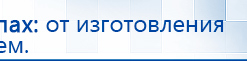 ДЭНАС-ПКМ (Детский доктор, 24 пр.) купить в Биробиджане, Аппараты Дэнас купить в Биробиджане, Дэнас официальный сайт denasolm.ru